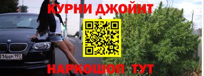 Альфа ПВП Гатчина
