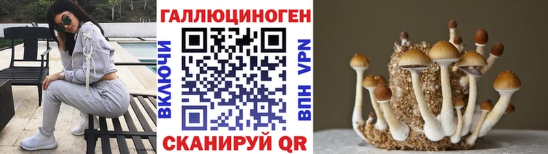 Псилоцибиновые грибы мицелий  дарк нет наркотические препараты  Златоуст 