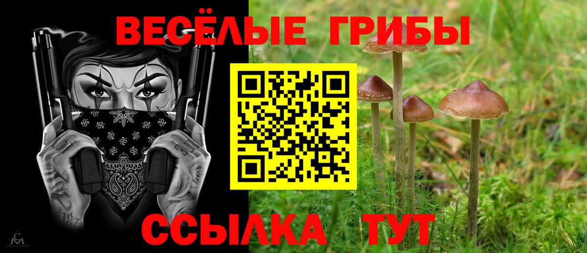 Псилоцибиновые грибы MAGIC MUSHROOMS  Вход с VPN  Златоуст 