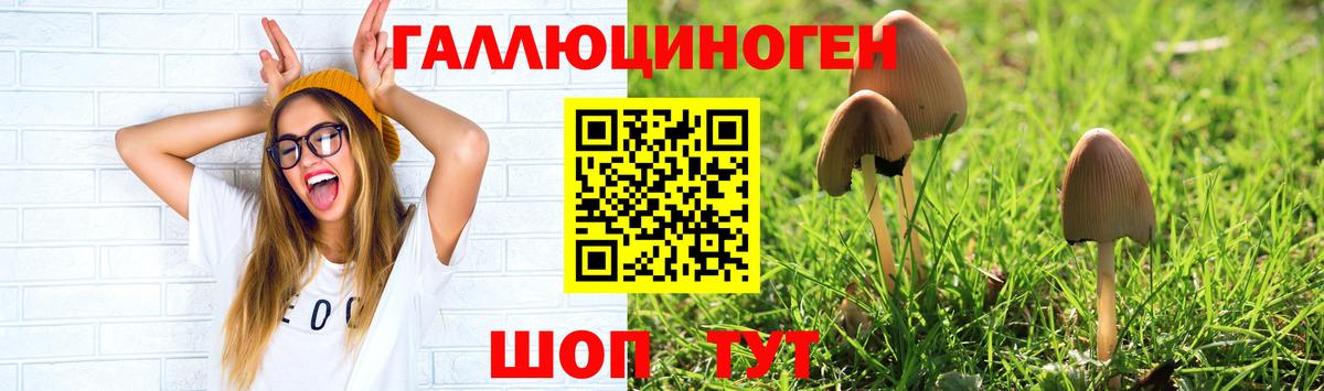 Галлюциногенные грибы мухоморы Златоуст